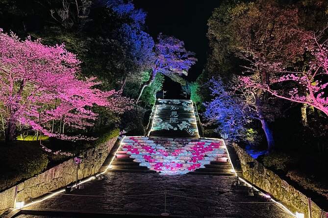 Kyoto Private Customizable Day Trip With English chauffeur - Starting at Arashiyama and its bamboo grove