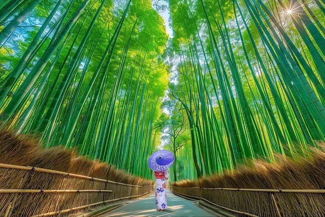 Kyoto Private Customized Day Tour with Guide - Why a private car helps in spread-out Kyoto