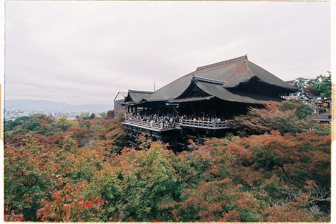 Kyoto Private Day Tour with English-Speaking Driver from Kyoto - What the driver does, and what the driver does not do