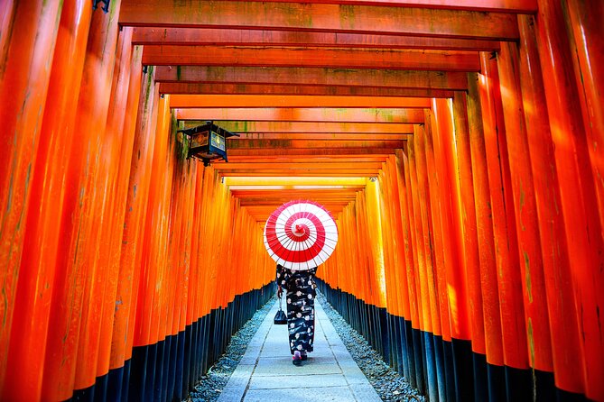 Kyoto Private Day Trip - Enjoy Your First-Time Visit to Kyoto! - Nijo Castle and the Tokugawa story