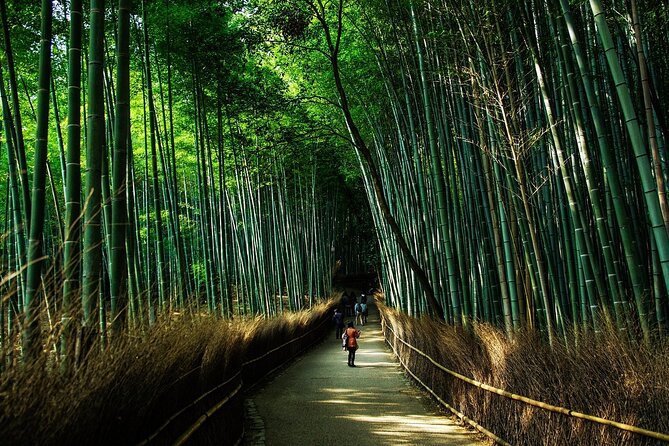 Kyoto: Private Flexible 3 hours tour with a local guide - How the two to three hours really work