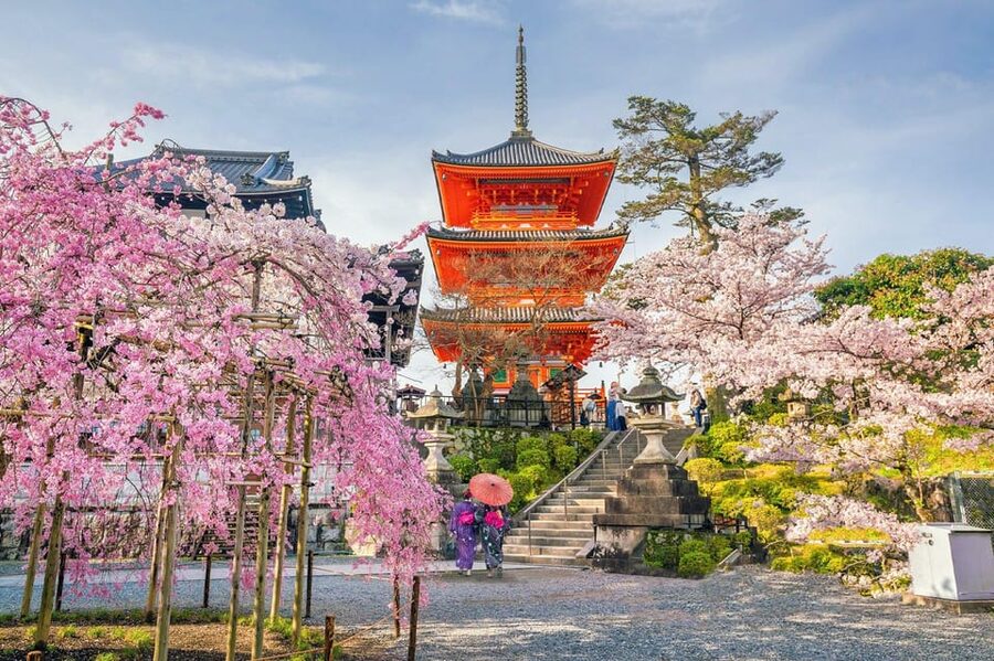 Kyoto: Private Highlights Tour with Guide and Luxury Vehicle - Gion brings old Kyoto into focus