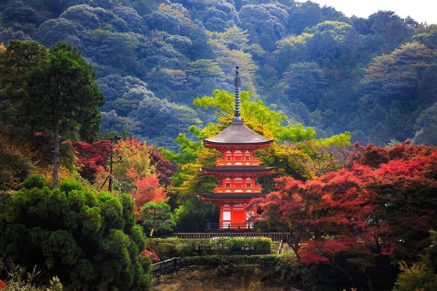 Kyoto: Private Highlights Tour with Guide and Luxury Vehicle - Lunch at Nishiki Market needs a plan