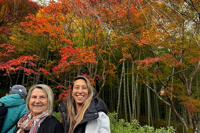 Kyoto Private Tour: One Day Highlights and Cultural Gems - Nishiki Market: Kyoto food and shopping in a short stop