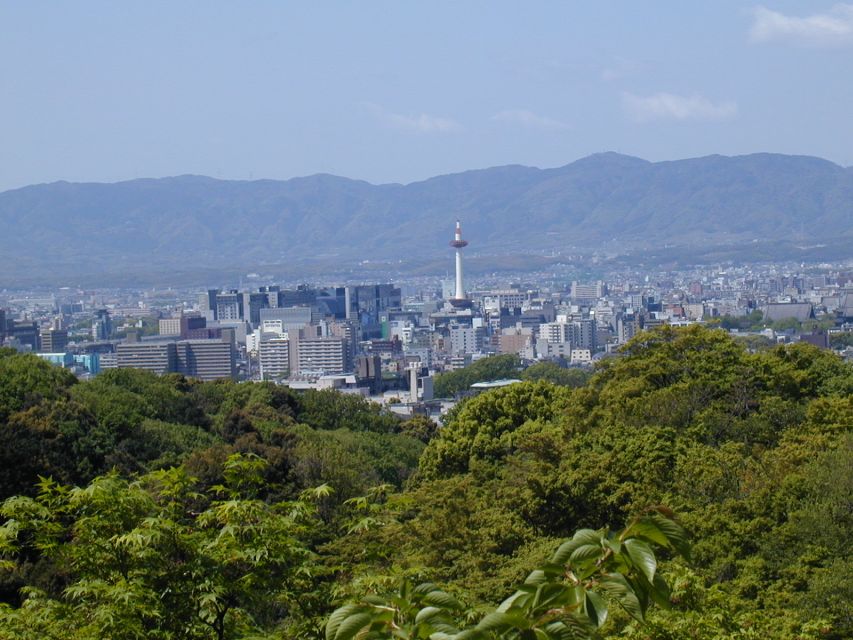 Kyoto: Private Tour with Local Licensed Guide - Fushimi Inari and the famous red gate corridor