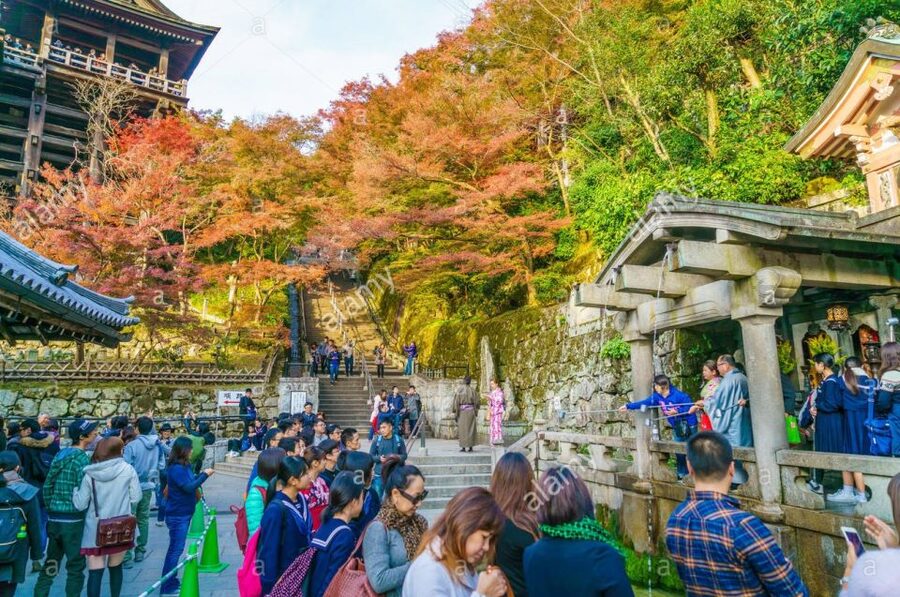Kyoto: Private Tour with Local Licensed Guide - Picking between four, six, and eight hours