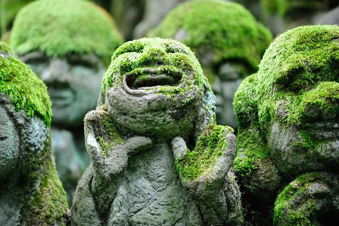 Kyoto Sagano Insider: Rickshaw and Walking Tour - What the guide adds to the ride