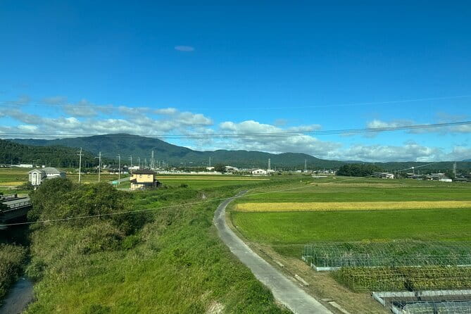 Kyoto Satoyama Cycling with Lunch and English Guide - Soba Making in a Closed Elementary School