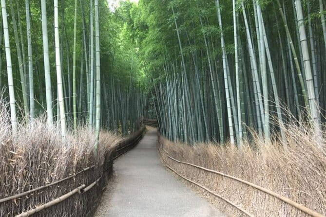 Kyoto Shogun Cycling Tour - The riding itself: easy does not mean effortless