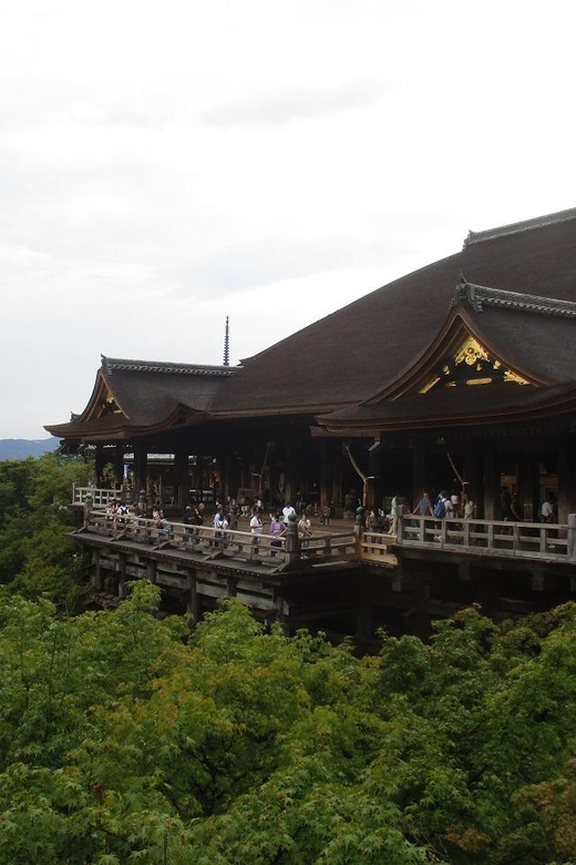 KYOTO: Tempio Kiyomizu Pagode Gion “Geisya” (Guida Italiana) - Who should book this experience?