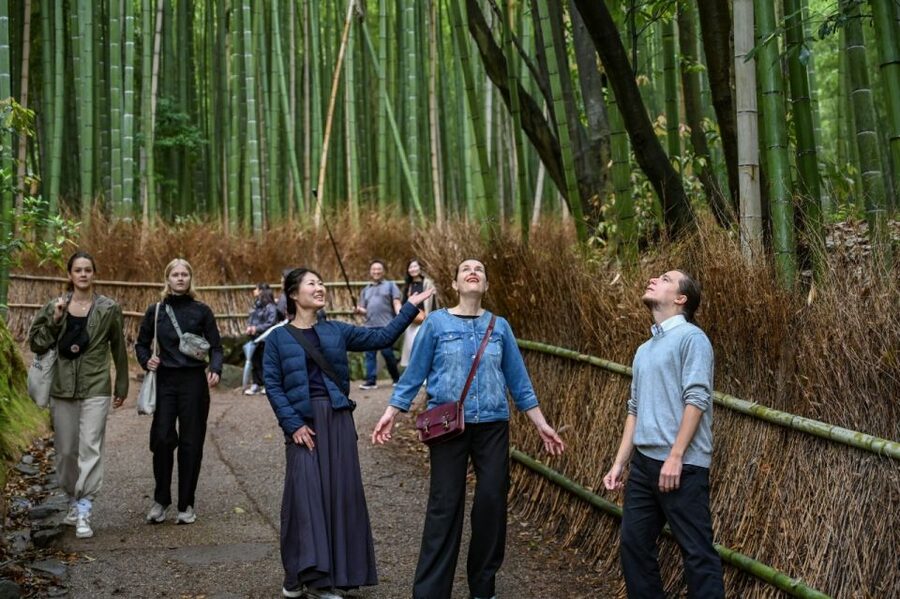 Kyoto to Arashiyama Day Trip - Private & Personalized - Why Arashiyama deserves a full half-day
