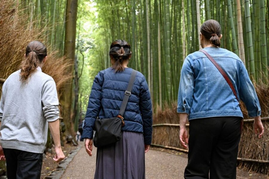 Kyoto to Arashiyama Day Trip - Private & Personalized - Tenryū-ji and a garden shaped by centuries