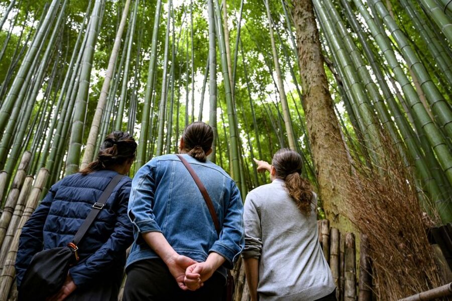 Kyoto to Arashiyama Day Trip - Private & Personalized - The Hozu-gawa option and the question of time