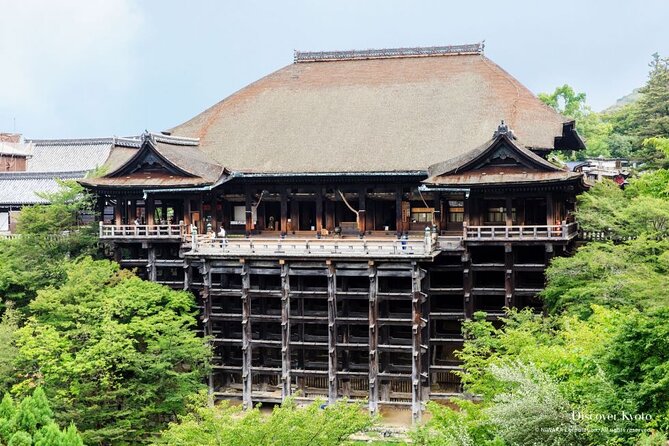 Kyoto tour with English Speaking Chauffeur - A private car is the practical advantage