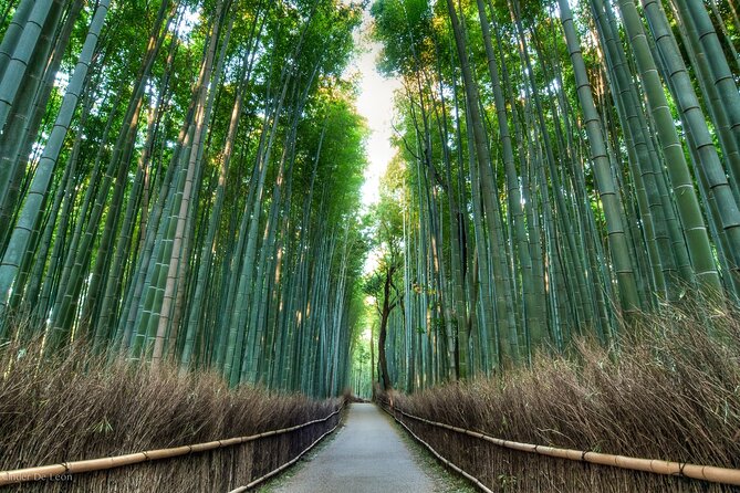Kyoto tour with English Speaking Chauffeur - Ginkakuji shows the quieter side of Kyoto