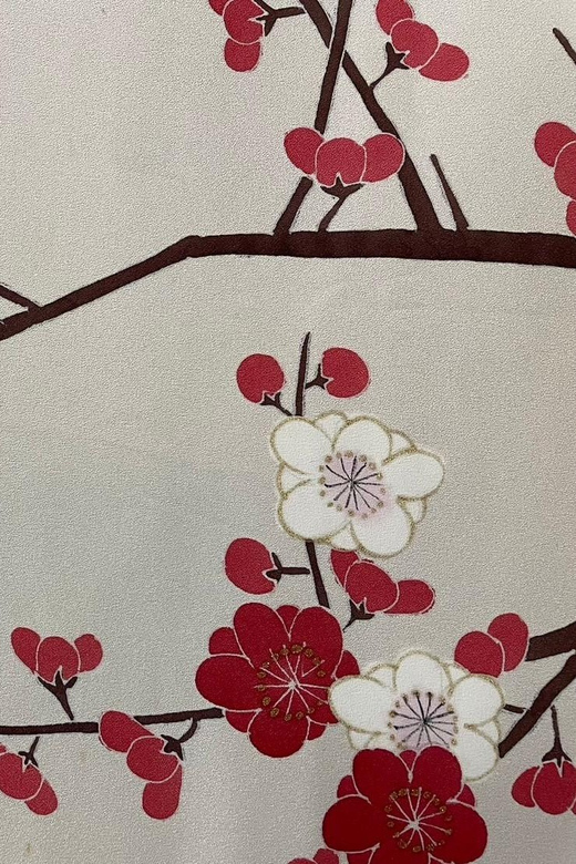 Kyoto: Traditional Yuzen Dyeing Experience - Who Will Get the Most From This Class