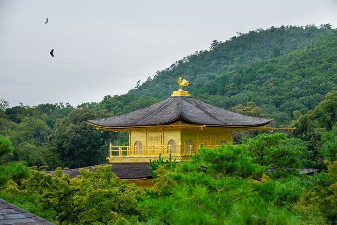 Kyoto & Uji: Full Day Sightseeing Tour from Osaka or Kyoto - What this Kyoto and Uji day covers