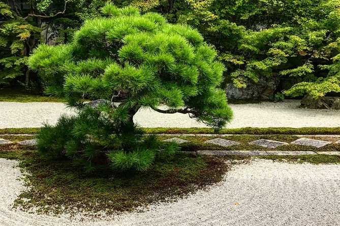 Kyoto: Zen Garden, Zen Mind (Private) - Konchi-in, the first garden lesson
