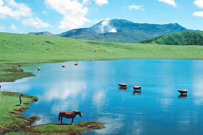 Kyushu: Aso Vocano, Grassland,Onsen and Aso shrine 1-Day Tour - Leaving Fukuoka at 8:00 a.m.