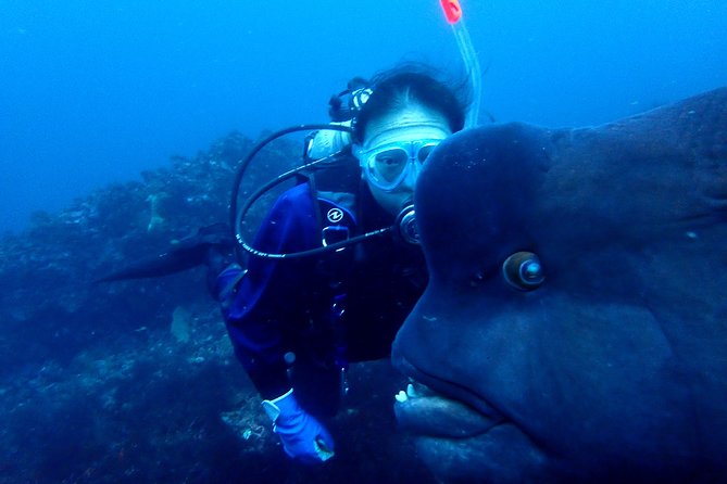 Let's enjoy Scuba diving in Izu Peninsula for certificate Diver - Lunch is a small feature that improves the day