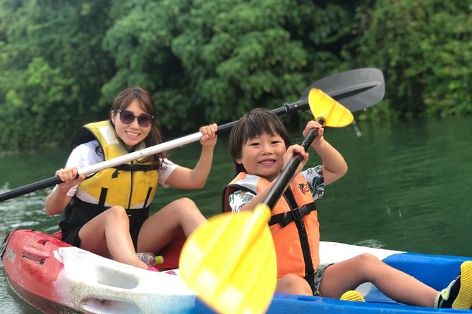Mangrove kayaking to enjoy nature in Okinawa - Key points to know before you paddle