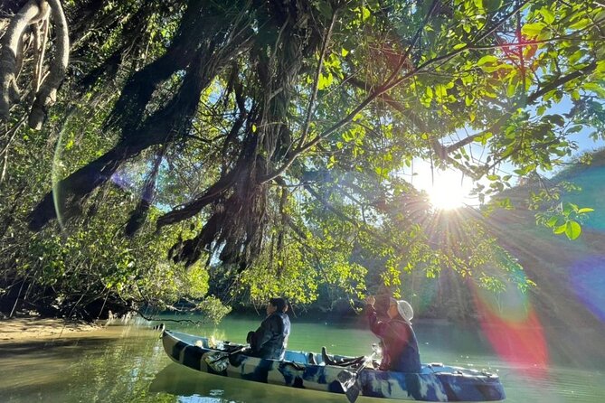 Mangrove kayaking to enjoy nature in Okinawa - Language support without overpromising