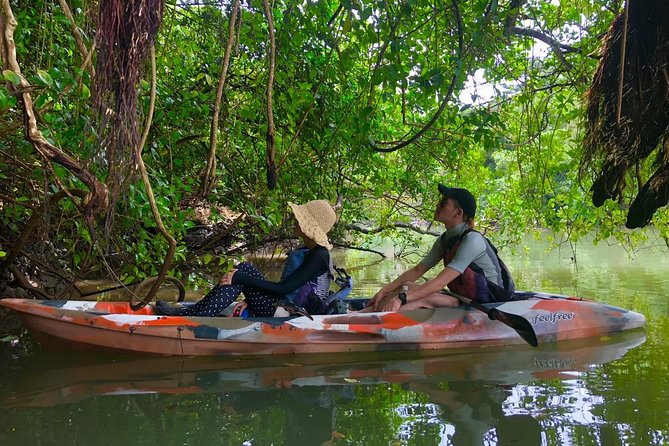 Mangrove kayaking to enjoy nature in Okinawa - Who should book this kayaking tour