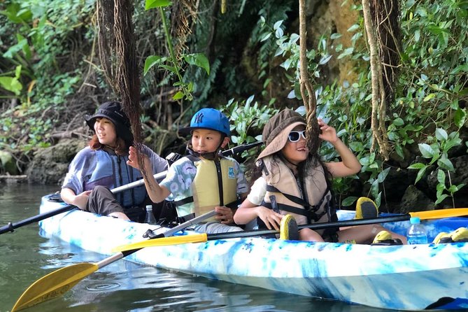 Mangrove kayaking to enjoy nature in Okinawa - One hour among mangroves, crabs, and mudskippers