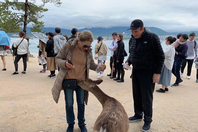 Miyajima Half-day Private Tour with Government Licensed Guide - Omotesando Street for snacks and shopping
