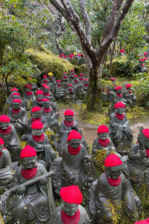 Miyajima Highlights: Itsukushima Shrine & Island Nature - What the guide adds to Hiroshima’s story