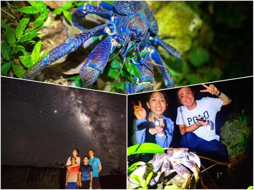 Miyako Island: Stars & Jungle Night Walking Tour - Looking for coconut crabs and other night creatures