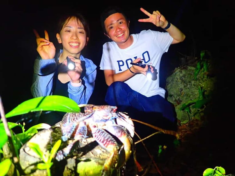Miyako Island: Stars & Jungle Night Walking Tour - Guide language and the quality of the evening