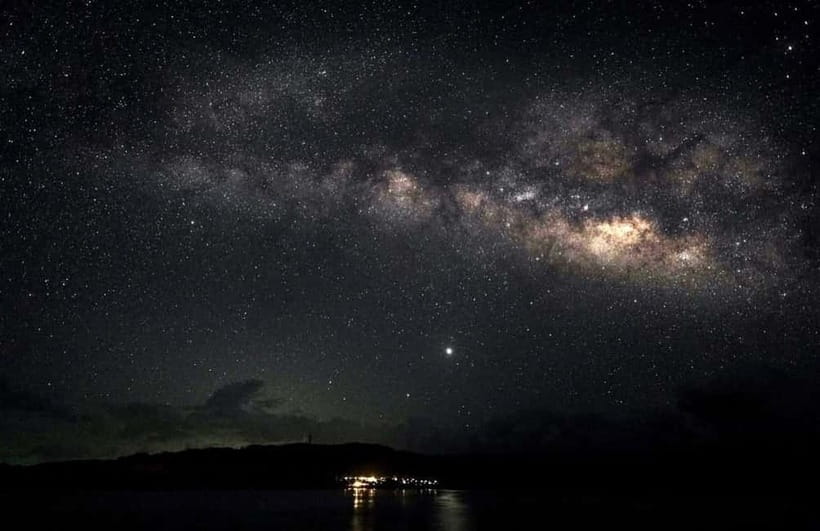 Miyako Island: Stars & Jungle Night Walking Tour - Walking through the dark forest
