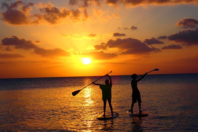 Miyako SUP or Canoe Tour on a Spectacular Beach in Miyako - Cruising Through Miyako Blue
