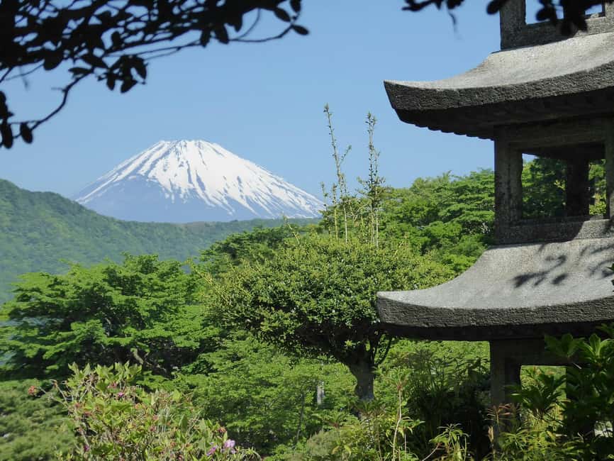 Mount Fuji: Customizable Private Tour By Car With Pickup - Chureito Pagoda: the famous photograph with a physical price
