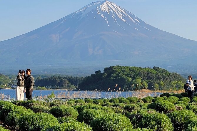 Mount Fuji Full Day Customized Private Tour with English Guide - Hakone options: museum, volcanic valley, and lake