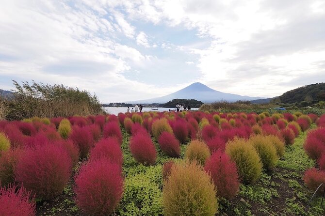 Mount Fuji Full Day Customized Private Tour with English Guide - What the guide service is really like