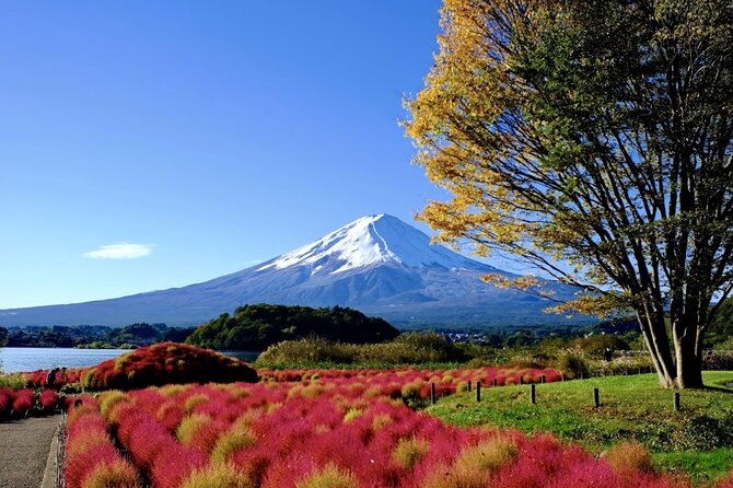 Mount Fuji Full Day Customized Private Tour with English Guide - Oishi Park and Lake Kawaguchiko