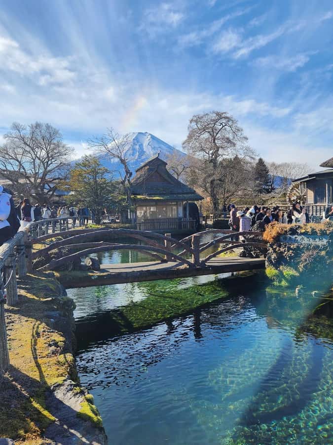 Mount Fuji Full-Day Private Sightseeing Tour with Guide - Leaving Tokyo Early to Beat the Roads
