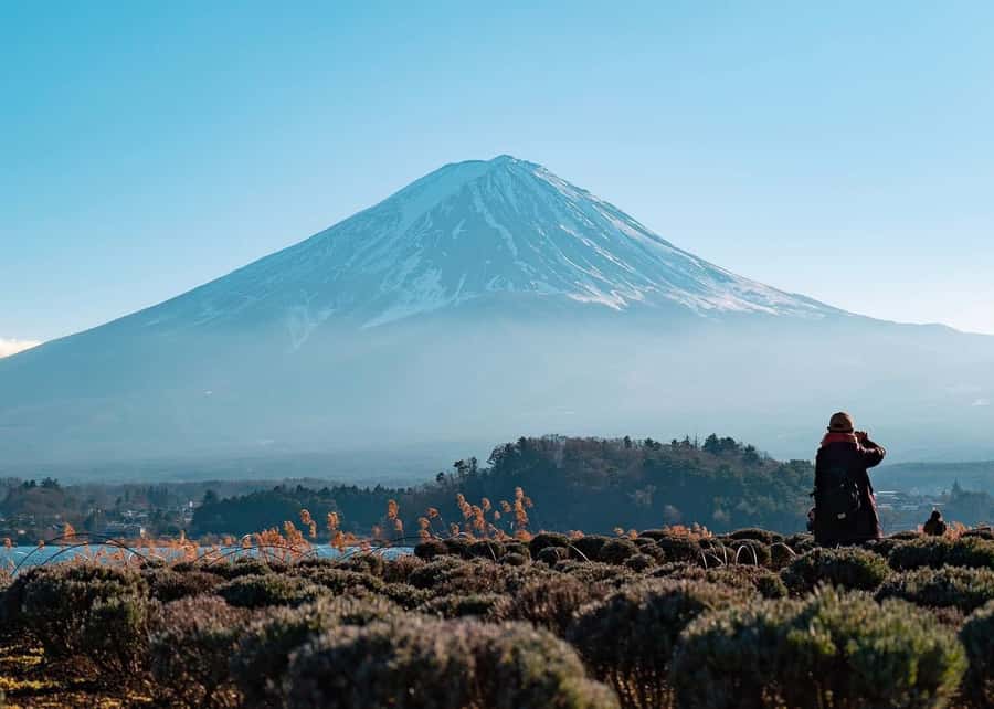 Mount Fuji Full-Day Private Sightseeing Tour with Guide - Lake Kawaguchi for Open Views and Free Time