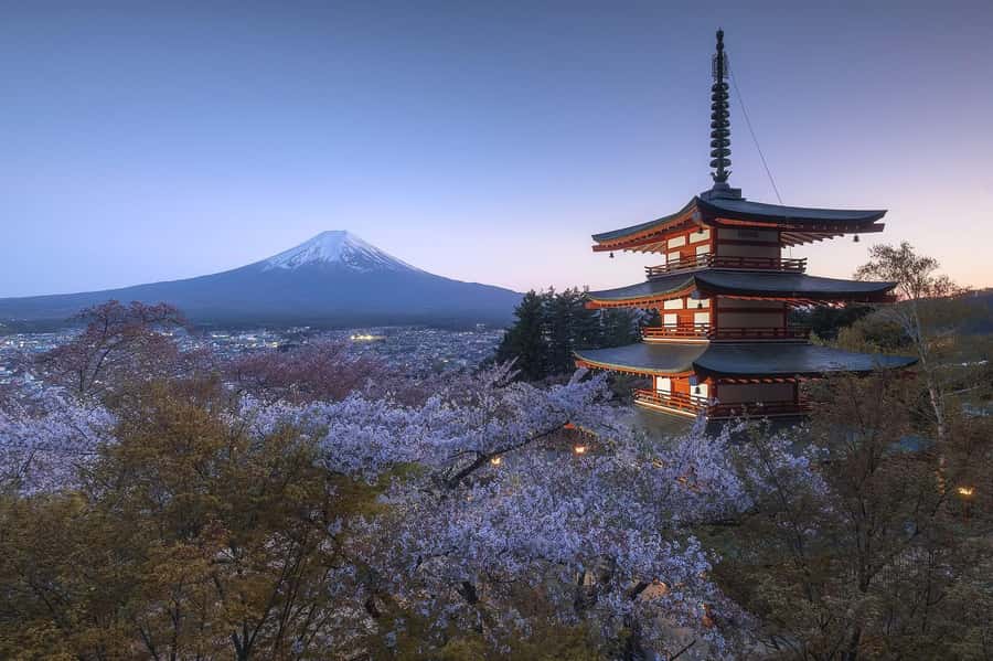 Mount Fuji Full-Day Private Sightseeing Tour with Guide - Oshino Hakkai’s Springs and Local Flavor