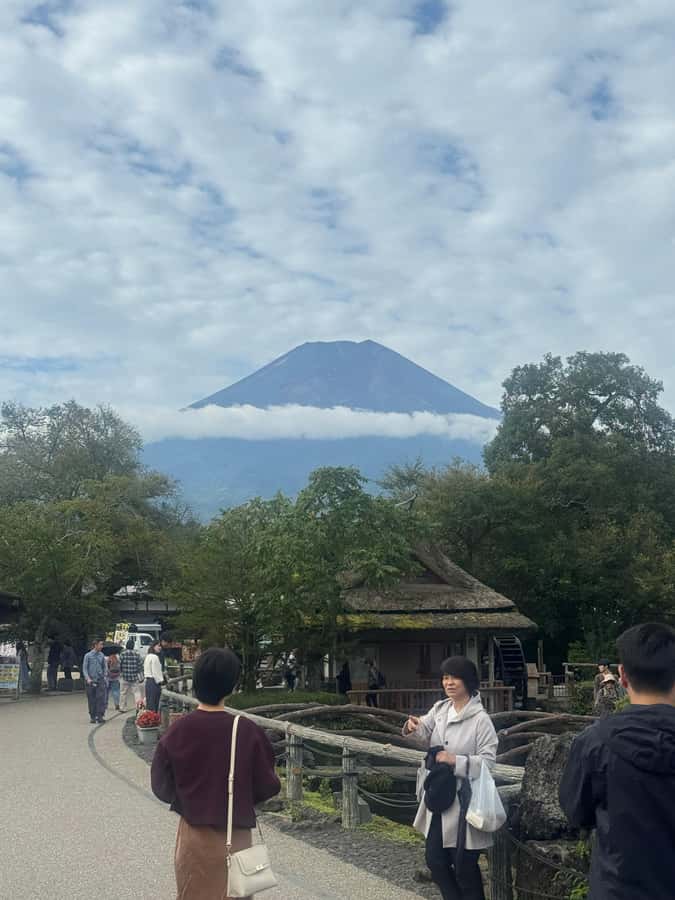 Mount Fuji Full-Day Private Sightseeing Tour with Guide - What the Vehicle and Guide Service Add