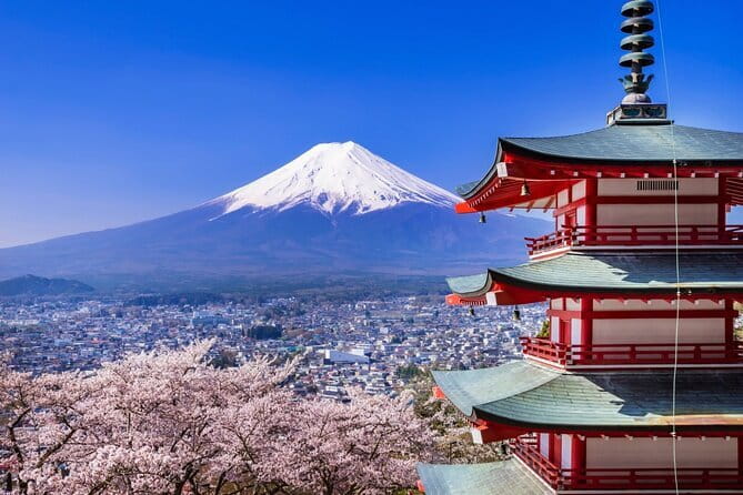Mount Fuji Full Day Sightseeing Tour from Tokyo - Key points to know before booking