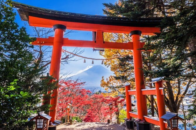 Mount Fuji Full Day Sightseeing Tour from Tokyo - Arakurayama Sengen Park means 398 steps for one famous view