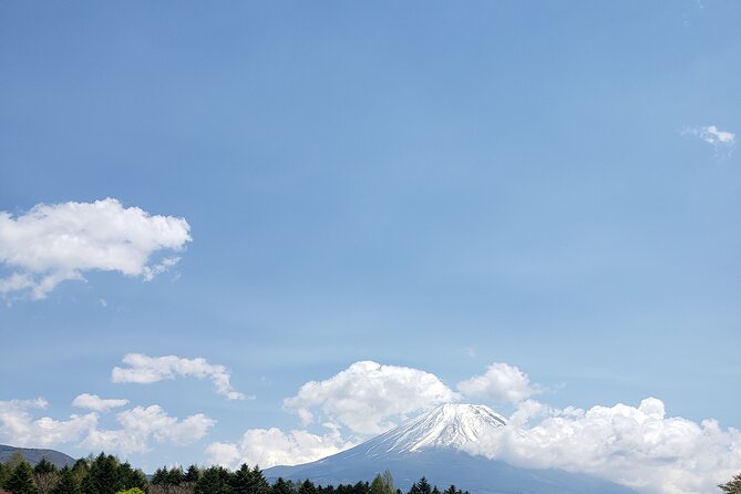 Mount Fuji, Hakone & Lakekawaguchiko Private Group Tour by Car. - Lake Kawaguchiko, lunch, and optional boat time