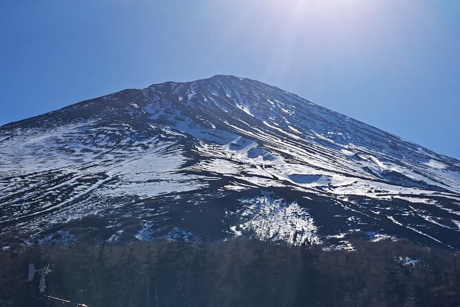 Mount Fuji (Mt. fuji) private tour by car with pickup from Tokyo - Lake Kawaguchiko, lunch, and optional rides