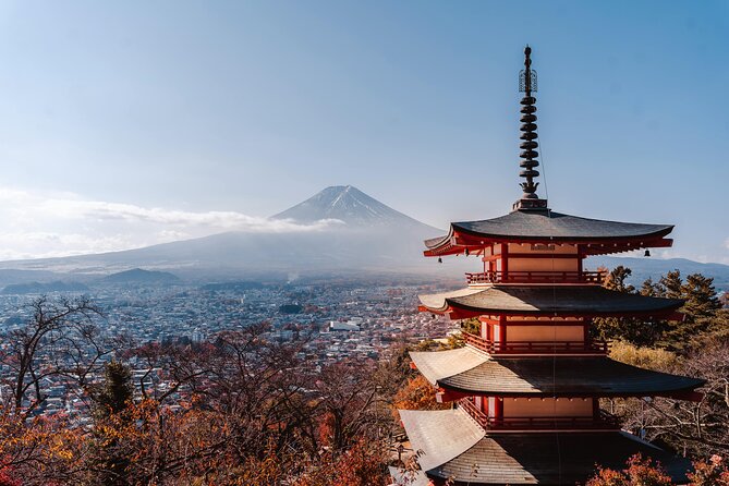 Mount Fuji (Mt. fuji) private tour by car with pickup from Tokyo - Oishi Park and the best all-in-one view