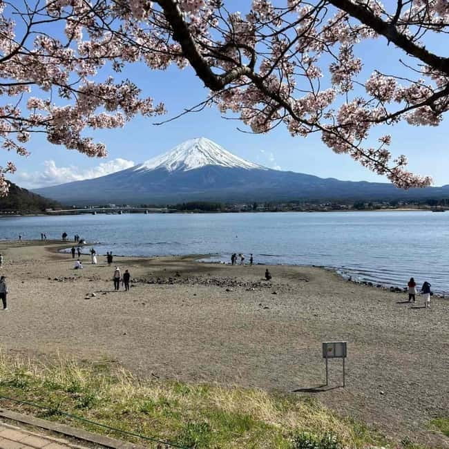 Mount Fuji Private day tour from Tokyo private & Customized - A private route from Tokyo, built around your group