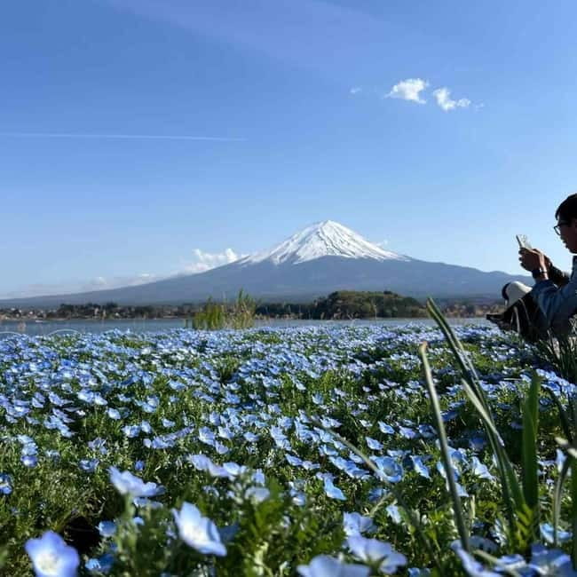 Mount Fuji Private day tour from Tokyo private & Customized - Oshino Hakkai, ponds and old village scenery