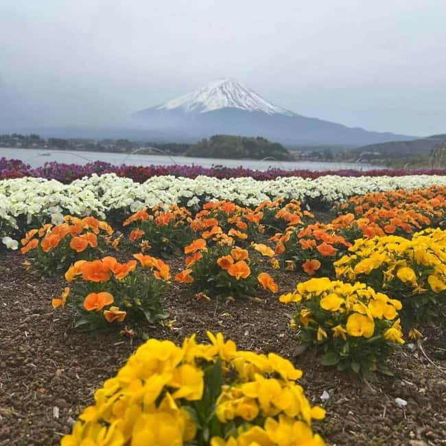 Mount Fuji Private day tour from Tokyo private & Customized - What the $354 price really buys you